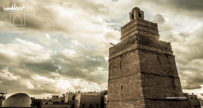 sfax-620