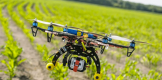 La BAD, utilisation de drones dans le secteur agricole