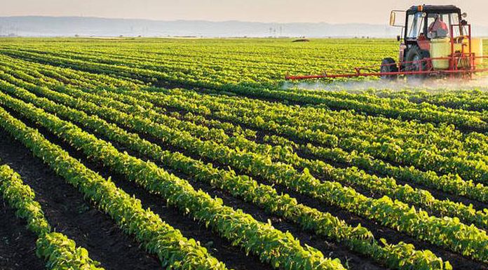 investissements agricoles privés