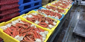 Les exportations des crabes en tunisie