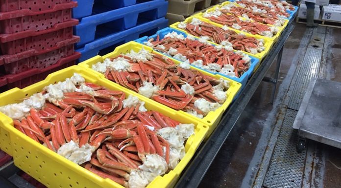 Les exportations des crabes en tunisie