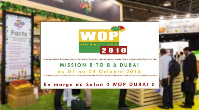 Cepex-WOP Dubaï 2018