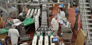 Secteur des industries manufacturières