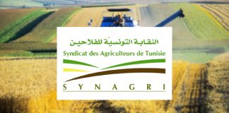 SYNAGRI