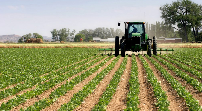 Recensement agricole général