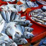 recettes des produits de la pêche