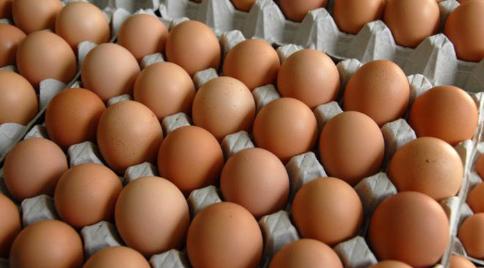Crise des oeufs Crise des oeufs