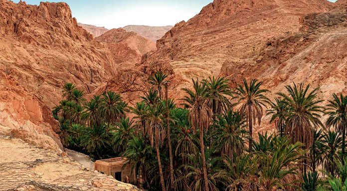 Oasis Tozeur Oasis Tozeur
