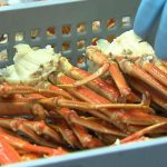 Pêche Crabes