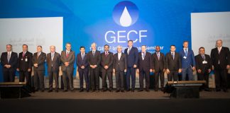 sommet du Forum des pays exportateurs de gaz