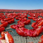 tomate séchée tunisienne