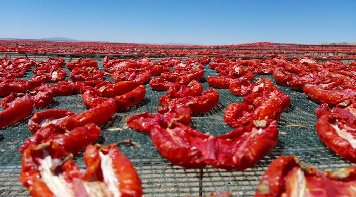 tomate séchée tunisienne