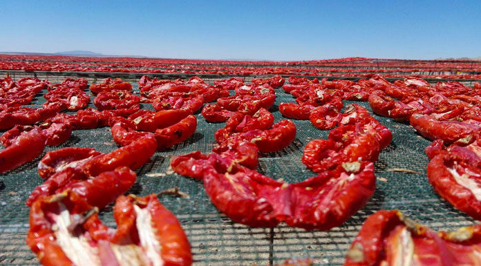 tomate séchée tunisienne tomate séchée tunisienne
