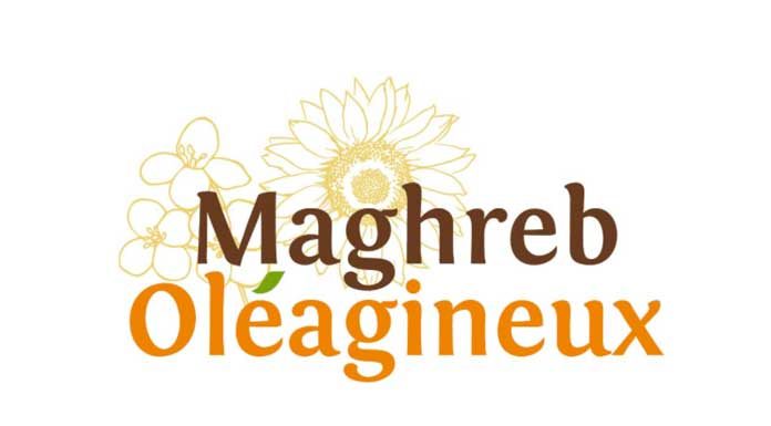 maghreb oléagineux