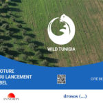WILD TUNISIA