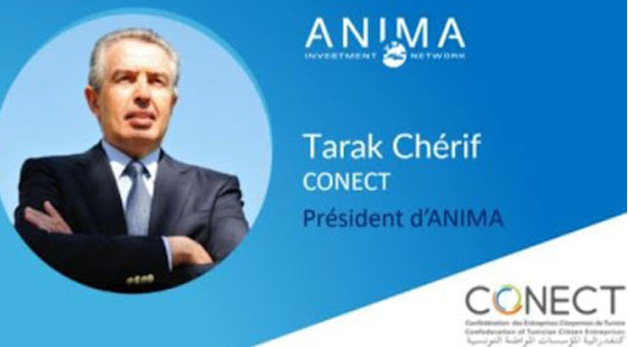 ANIMA-Investment-Network