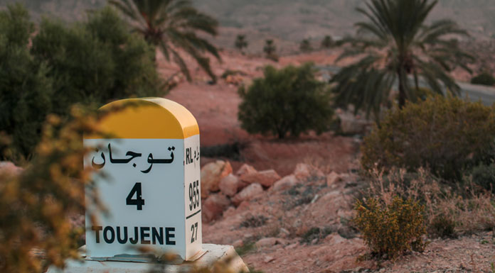 Tunisie-Telecom