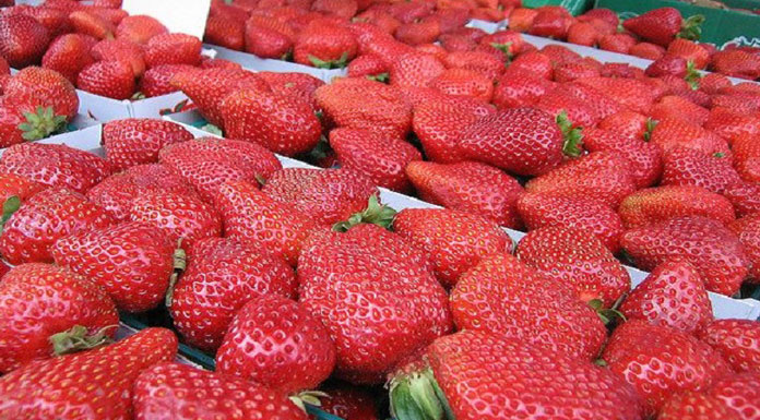 fraises