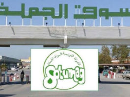 Facturation électronique – Tunisie : La SOTUMAG accélère la numérisation des marchés de gros