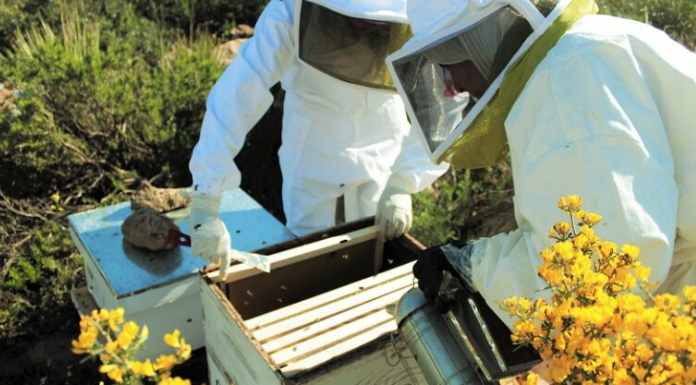 Beekeeper Tech