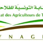 Le stock stratégique de lait de la Tunisie est épuisé