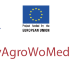InnovAgroWoMed : 16 Tunisiennes obtiennent 288 000 dinars de subventions
