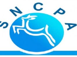 La SNCPA assure pour la 3ème année consécutive l’intégralité du papier scolaire destiné à Kasserine