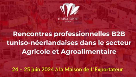 B2B-tunNerl2024