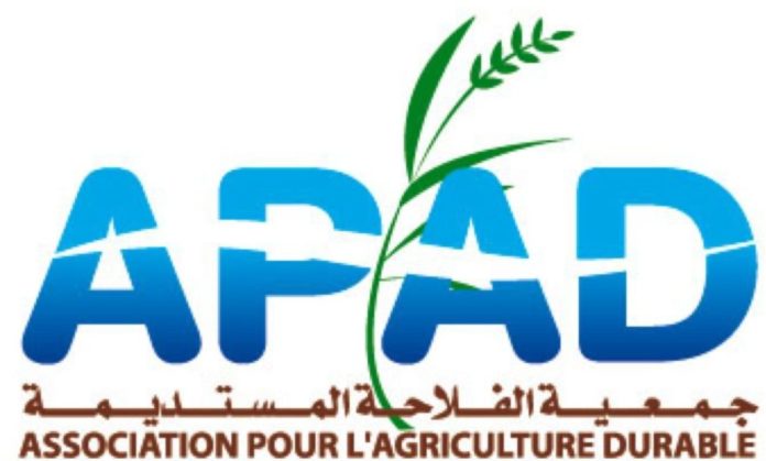 Capture d'écran 2025-02-19 123511