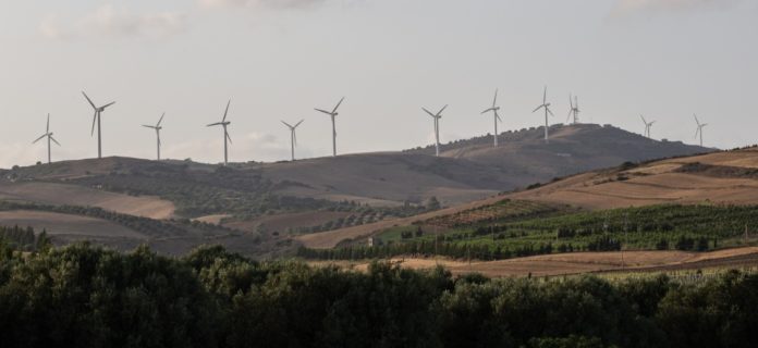 sidi daoud haouaria tunisie energie
