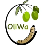 Avec OLIWA, la Tunisie transforme les déchets de l’olive en opportunités industrielles