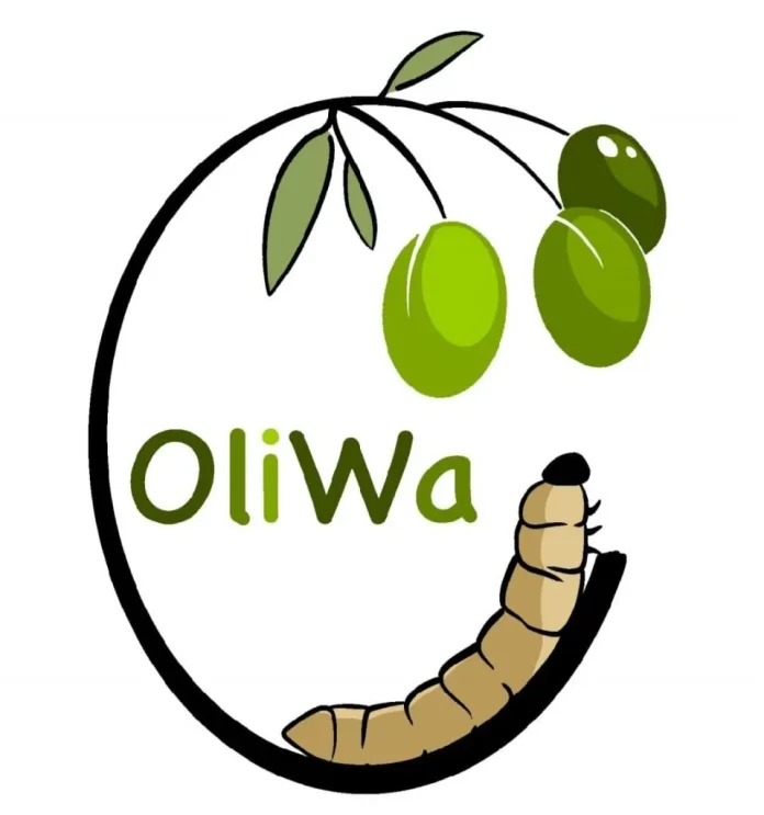 oliwa tunisie