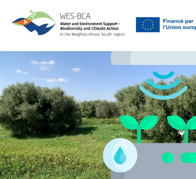 Capture d'écran 2025-11-18 130409