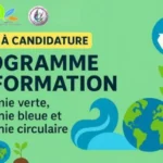 Tunisie : Un programme pour former 100 diplômés aux projets verts innovants