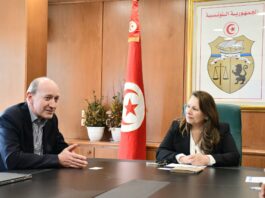 Asteelflash prépare une montée en puissance en Tunisie