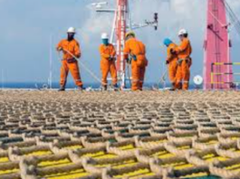 Panoro Energy renforce sa position en Guinée équatoriale avec une acquisition majeure