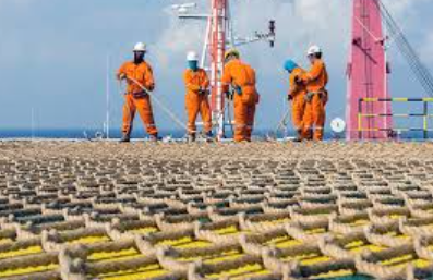 Capture d'écran 2026-02-25 144803