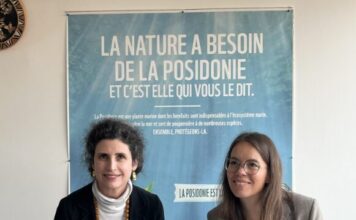 Le FFEM et WWF France lancent un projet pour protéger les herbiers de posidonie et développer le carbone bleu en Tunisie