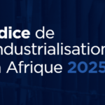 BAD – Indice de l’industrialisation : La Tunisie dans le top 5 africain