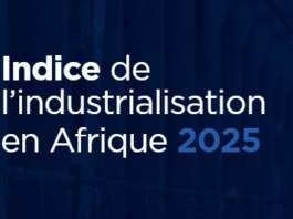 BAD – Indice de l’industrialisation : La Tunisie dans le top 5 africain
