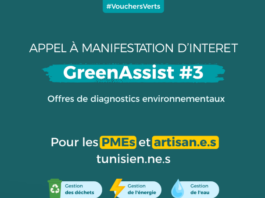 Greenov’i lance son 3ᵉ Appel à Manifestation d’Intérêt Green Assist pour accompagner les TPME et les artisan·es tunisien·nes dans leur transition écologique