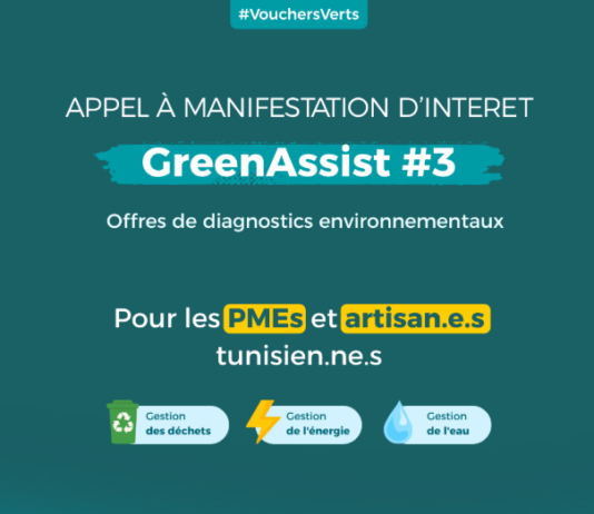 Greenov’i lance son 3ᵉ Appel à Manifestation d’Intérêt Green Assist pour accompagner les TPME et les artisan·es tunisien·nes dans leur transition écologique