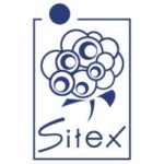 Tunisie : La SITEX repousse son AGO pour finaliser son plan de redressement