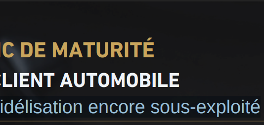 Secteur automobile : Jusqu’à 25% de chiffre d’affaires SAV perdu faute de suivi client