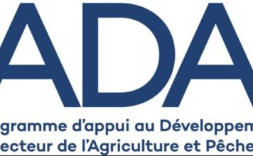 Investir aujourd’hui pour la transition agroécologique : ADAPT lance une série de journées d’information pour accompagner les candidats à son Fonds d’appui Inves