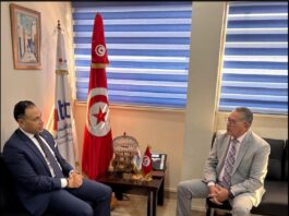 Coopération technique : La Tunisie et l’Égypte préparent un nouveau cadre de partenariat