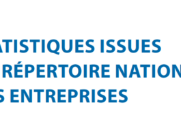 Tunisie : 836 808 entreprises privées en 2024, mais un taux de faux actifs estimé à 11% parmi les indépendants