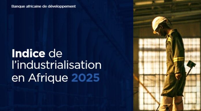 Indice de l’industrialisation en Afrique 2025 : La Tunisie confirme sa quatrième place